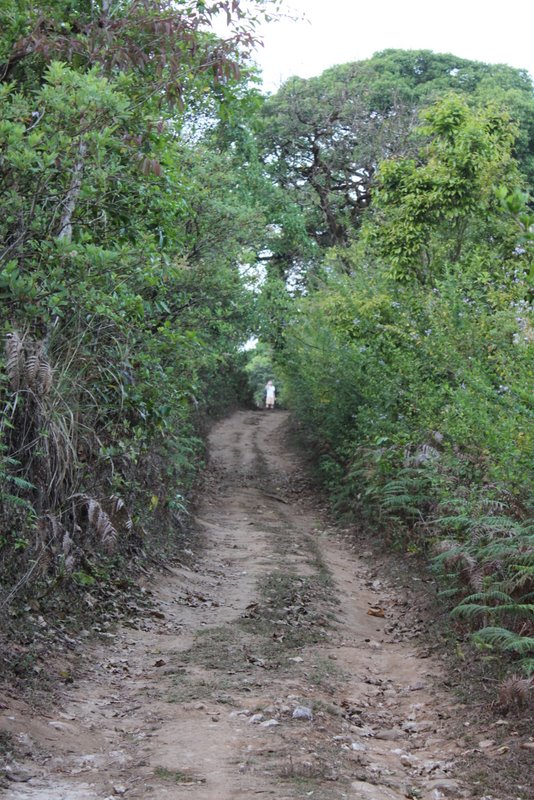 India 2010 - Coorg - Honey Valley - Trek to the Swimming Hole